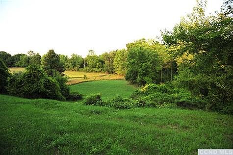 Country views from the backyard.