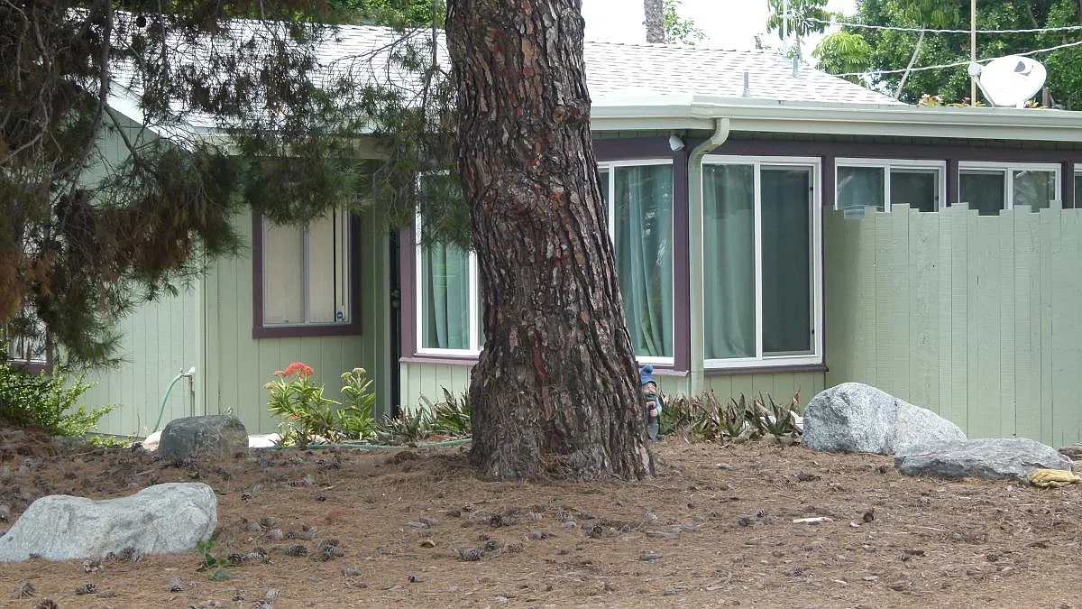 2 bed, 1100 sqft, $2,950 — Photo 1