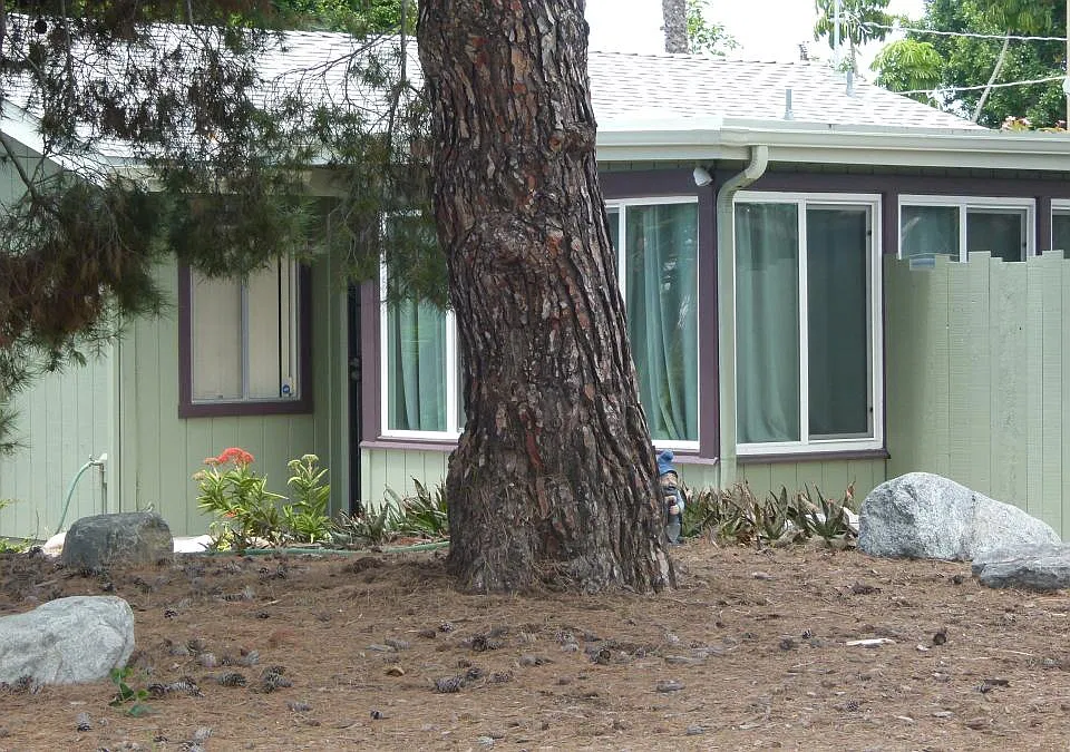 1672 Republic St