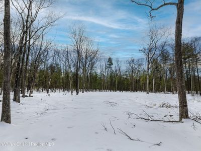Tbd Reilly Road, Kingston, NY, 12401