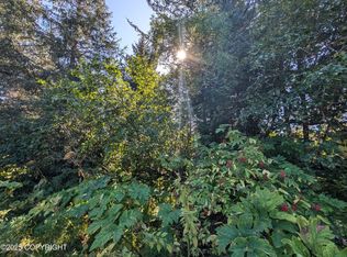 421 Soundview Ave, Homer, AK 99603