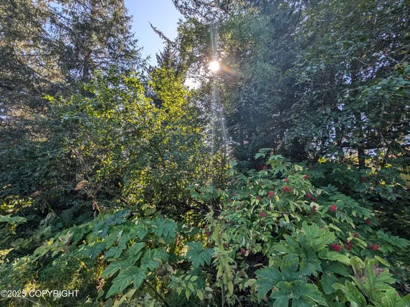 421 Soundview Ave, Homer, AK 99603