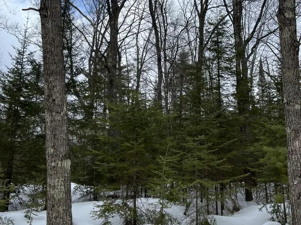 Pedycort Rd, Saint Germain, WI 54558