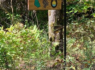 20 Pine Brook St, Mackinac Island, MI 49757