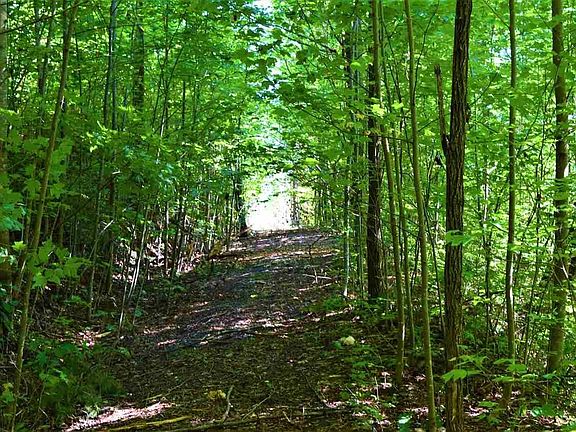4th image of 0 Jones Creek Ln Lot 168E
