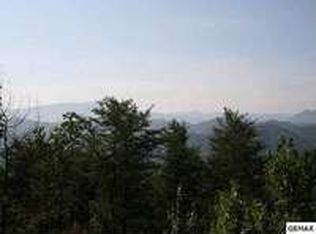 807 W Jackson Ave, Spring City, TN 37381