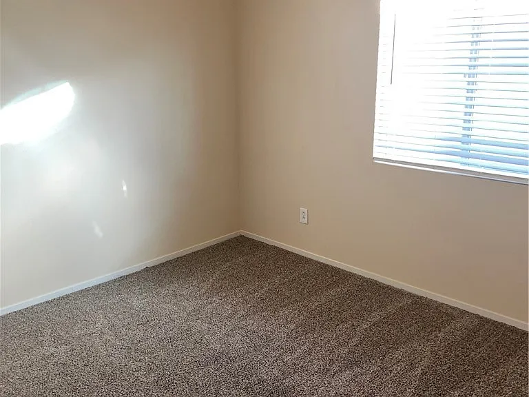 10236 Wolf Pack Ln — Photo 17