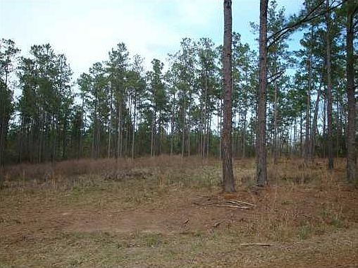 4th image of Wilton Seal Road