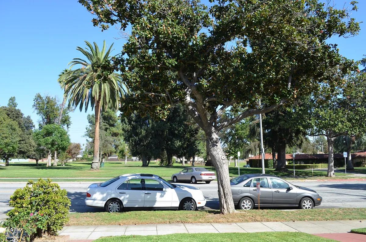 Building Photo - 509 N Palm Ave