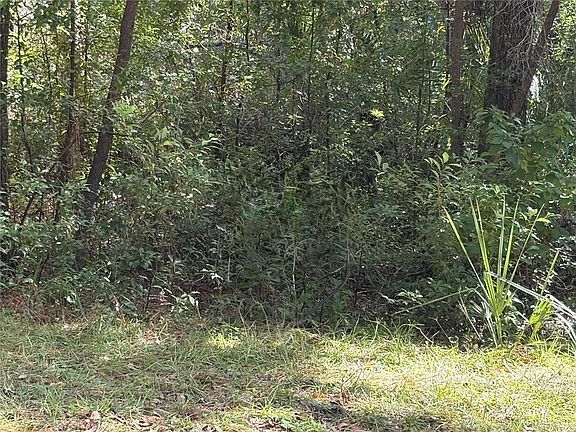 2nd image of 1228 Clover Ter Lot 31