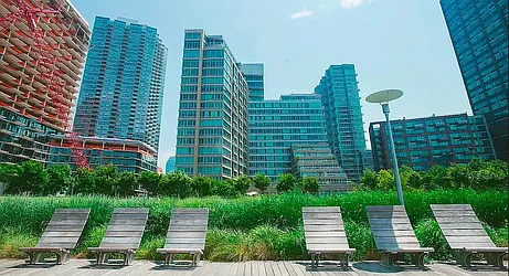 Rented by The Agency