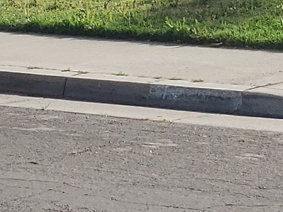 5th image of 2324 Knowlwood Dr