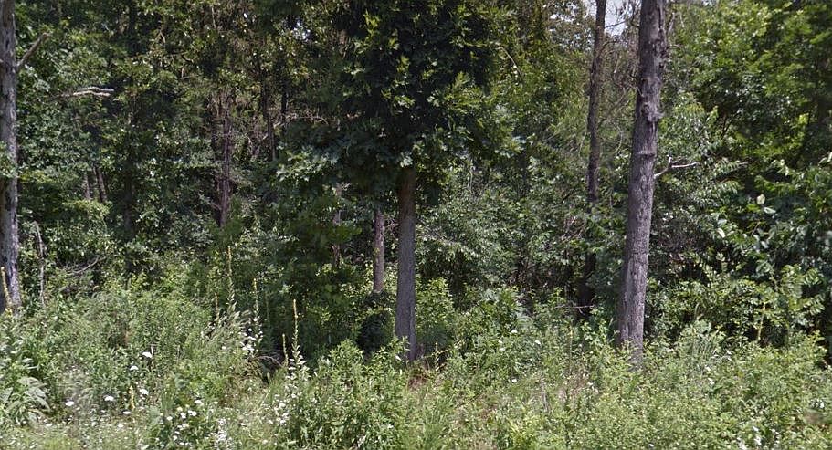 1st image of 16-38620 Kinross Dr