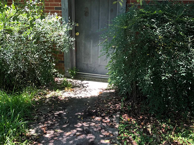 101 1/2 Catherine Ave — Photo 9