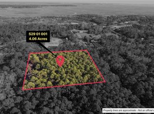 0 Saint Patrick St, Saint Marys, GA 31558