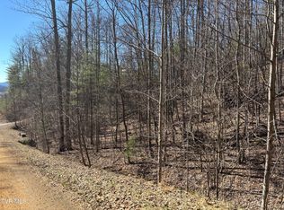 LOT 54 Hiddenwood Dr, Mountain City, TN 37683