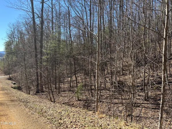 LOT 54 Hiddenwood Dr, Mountain City, TN 37683