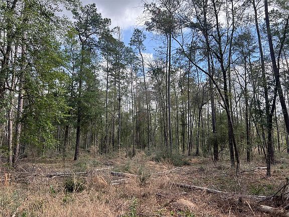 5th image of Three Bridges Rd