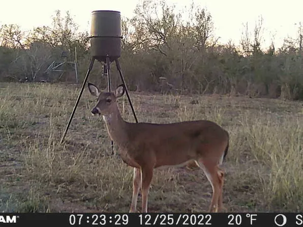 464 CR354, Charlotte, TX 78011