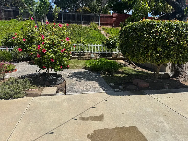 5225 Cole St — Photo 18