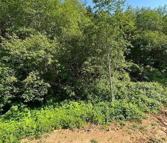 4245 Sequoia Loop — Photo 23