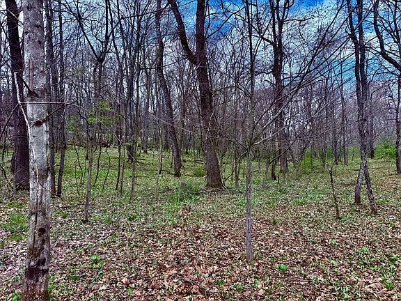 3rd image of Miller Rd