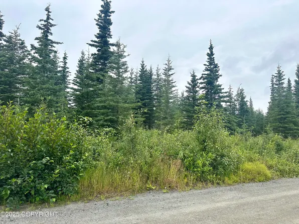 L4-B5 Harvey St, Soldotna, AK 99669