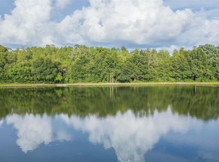 18101 Peregrines Perch Pl #4109, Lutz, FL 33558