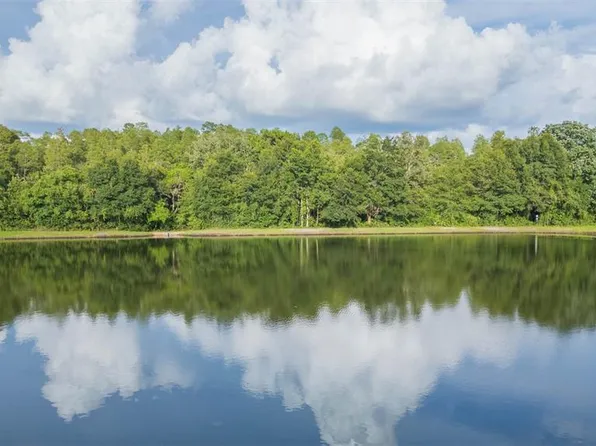 18101 Peregrines Perch Pl #4109, Lutz, FL 33558