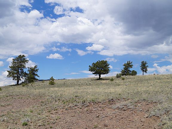 5th image of 4454 County Road 71