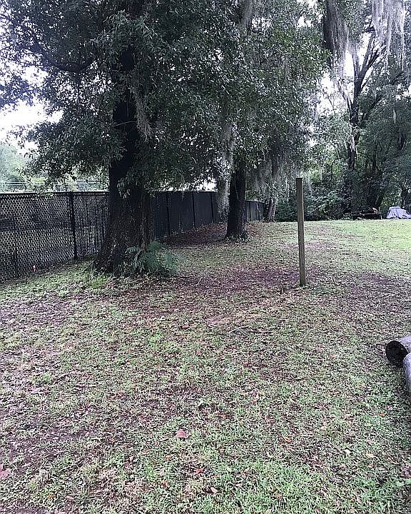 2nd image of Jayson Ave