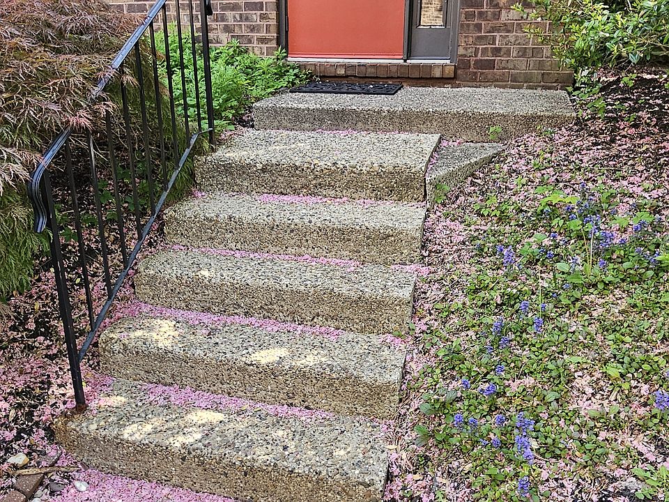 Vestibule Front Door