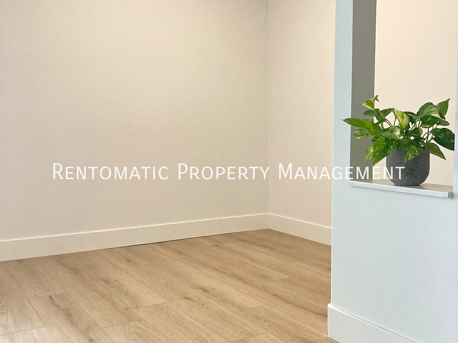 1 bed, 600 sqft, $699 — Photo 2