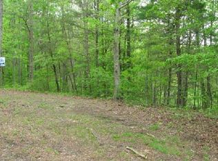 Mountain River Dr, Mineral Bluff, GA 30559