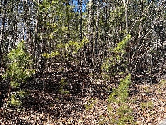 4th image of 1012 Country Mountain Rd