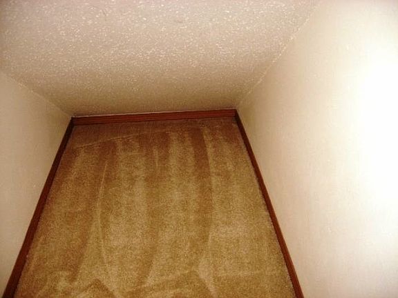 Large Closet Under Stairs