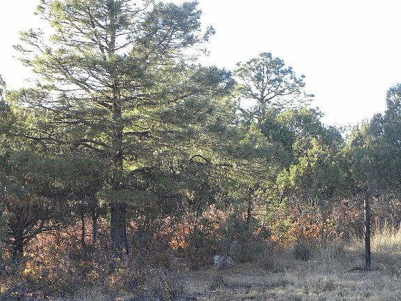 3rd image of 123 Buckboard Trl