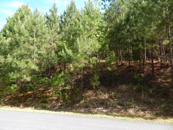361 The Cove At Thirteen Hundred, Blairsville, GA 30512