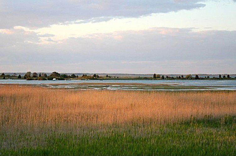 view out to Louse Point