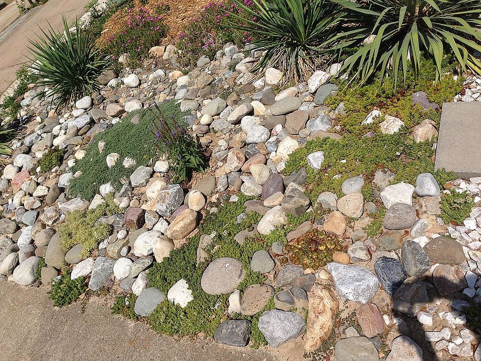 2nd image of 2348 Rookery Way