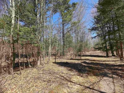 Lots 243 253 8th St, Rose City, MI, 48654