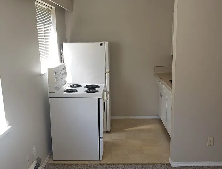215 Carnarvon St #204 — Photo 9