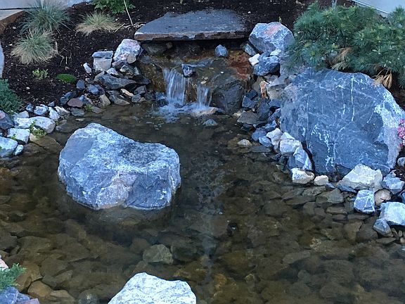 Entry pond