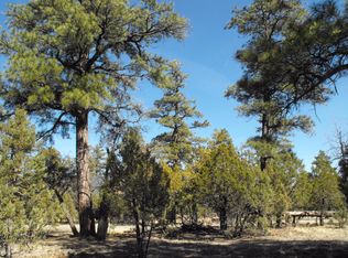 2656 Deer Path, Happy Jack, AZ 86024