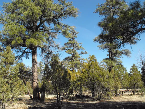 2656 Deer Path, Happy Jack, AZ 86024