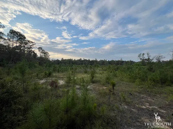 Bedsole Rd, Eastman, GA 31023