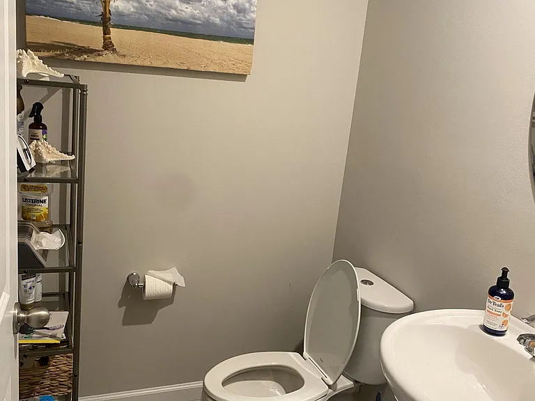 1/2 Bathroom downstairs