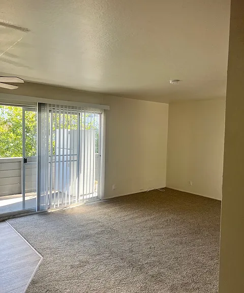 PINE TERRACE APARTMENTS — Photo 31