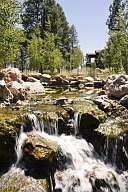 4th image of 1966 Berniece Dr