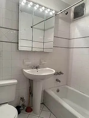 Rented by Eric Goodman Realty Corp | media 4